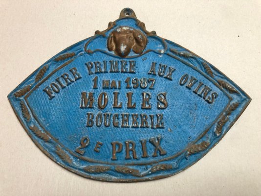 Concours Agricole Ovins Molles Sign, 1987-SDV-736069