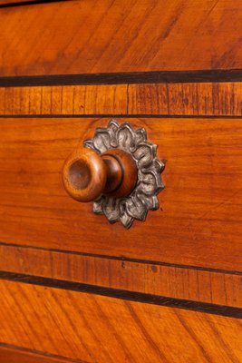 Copf Style Inlaid Cherrywood Secretaire Cabinet, 1800s-ABO-1440481