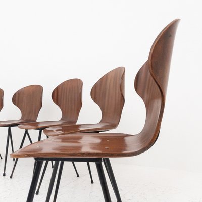 Curved Wooden Chairs Model Lulli by Carlo Ratti for Industria Legni Curvati, Italy, 1950s, Set of 6-UPW-1741706