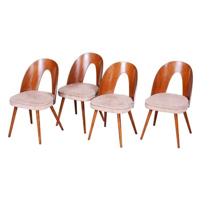 Czech Brown and Beige Chairs by Antonín Šuman, 1950s, Set of 4-WHY-955553