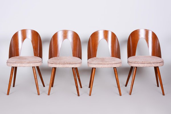 Czech Brown and Beige Chairs by Antonín Šuman, 1950s, Set of 4-WHY-955553