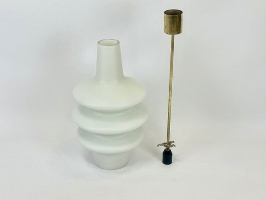 Czech Milk Glass Pendant Lamp attributed to Josef Hurka for Napako, 1960s-ZCY-2023719