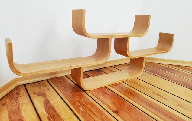 Czechoslovak Plywood Shelf by Ludvik Volak for Drevopodnik Holesov, 1960s-DHD-1792294