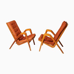 Czechoslovakian Chairs by Janěk Vaněk for Krásná Jizba, 1940s, Set of 2-HXT-2043775