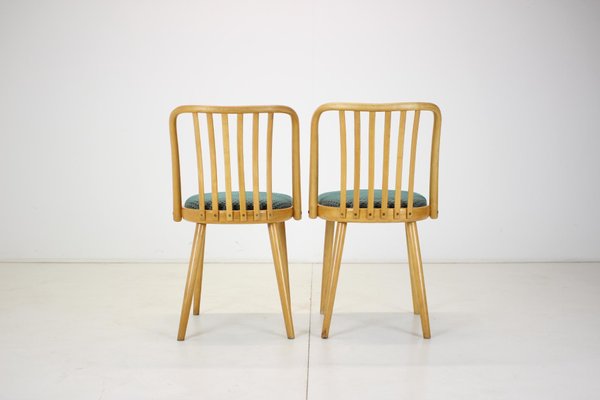 Czechoslovakian Dining Chairs by Antonin Suman, 1960s, Set of 4-TZ-1142661