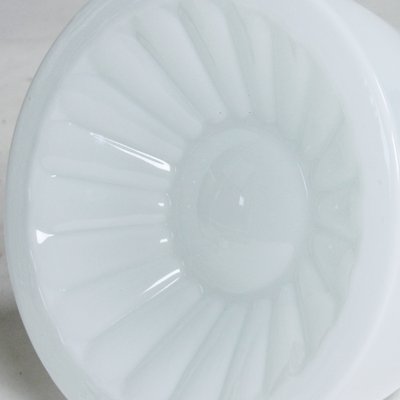 Czechoslovakian White Opaline Glass Ceiling Lamp, 1960s-UL-911279