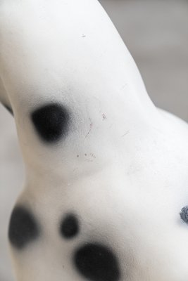 Dalmatian Dog in Resin, 1970s-KNM-1010186