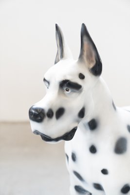 Dalmatian Dog in Resin, 1970s-KNM-1010186