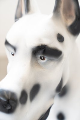 Dalmatian Dog in Resin, 1970s-KNM-1010186