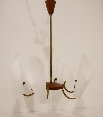 Danish Modern Teak and Brass Hanging Light, 1950s-WIX-1765262