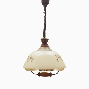 Danish Pendant Lamp, 1970s-VND-1789821