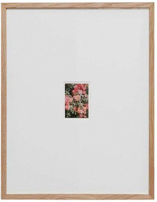 David Urbano, The Rose Garden No. 47, 2017, Photographic Giclee Print, Framed-WM-1419172