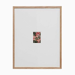 David Urbano, The Rose Garden No. 47, 2017, Photographic Giclee Print, Framed-WM-1419172