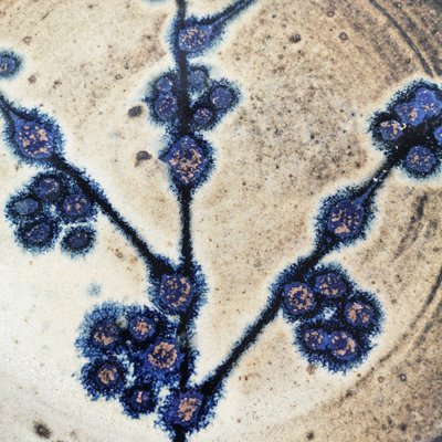 Decorative Ceramic Plate, 1960s-ZTG-1771316