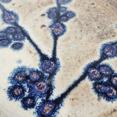 Decorative Ceramic Plate, 1960s-ZTG-1771316