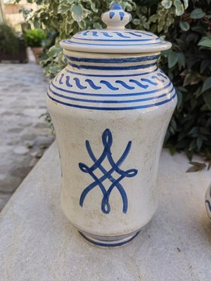 Deruta Pharmacy Vases Albarelli in White Ceramic with Blue Paintings, 1950s, Set of 2-ZFY-1757059