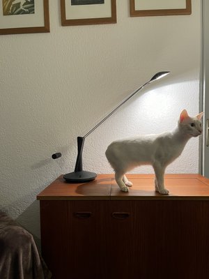 Desk Lamp Lisa Model by Gianni Cardile for Valenti Luce, 1980s-OJI-2016621