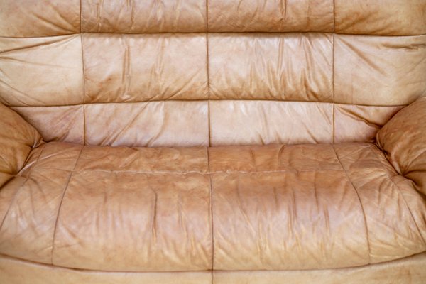 Dianthus Sofa in Leather by Michel Ducaroy for Ligne Roset, 1978-MAO-1361981