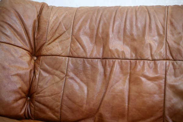 Dianthus Sofa in Leather by Michel Ducaroy for Ligne Roset, 1978-MAO-1361981