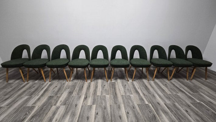 Dining Chairs by Antonin Suman, 1960s, Set of 10-QJA-2021680