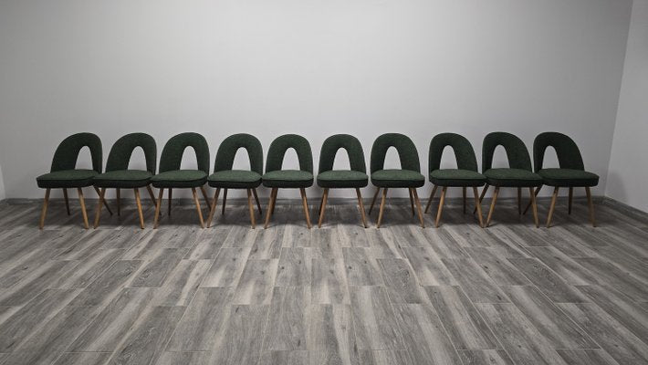 Dining Chairs by Antonin Suman, 1960s, Set of 10-QJA-2021680