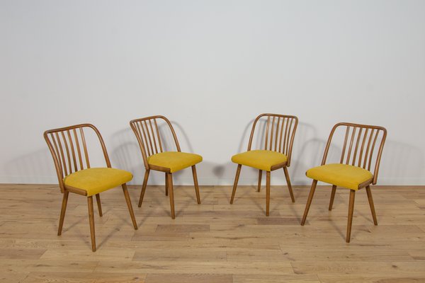 Dining Chairs by Antonín Šuman for Ton, 1960s, Set of 4-NIT-2019786