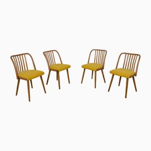 Dining Chairs by Antonín Šuman for Ton, 1960s, Set of 4-NIT-2019786