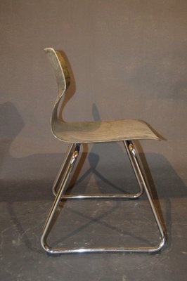 Dining Chairs by Elmar Flötotto for Pagholz Flötotto, 1970s, Set of 4-ZKR-2031592