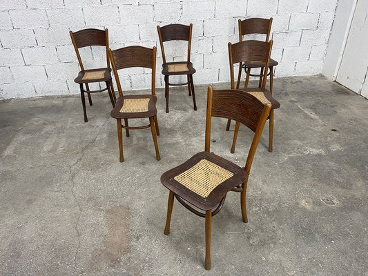 Dining Chairs by Jacob & Josef Kohn, 1910s, Set of 6-PB-1768446