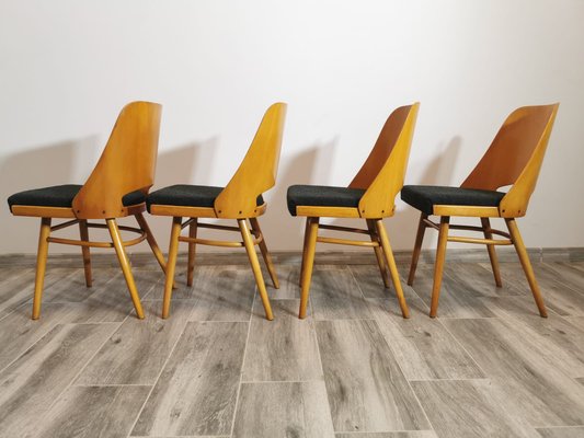 Dining Chairs by Radomir Hoffman for Ton, 1950s, Set of 4-QJA-1749046