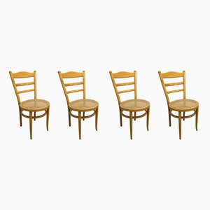 Dining Chairs from Baumann, 1986, Set of 4-VQY-585175