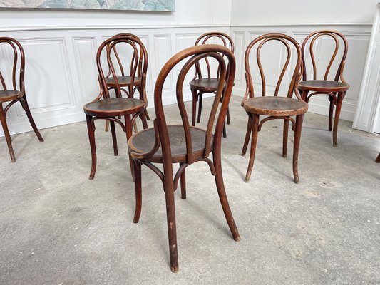 Dining Chairs in Bent Wood from Thonet, Set of 17-PB-2032285