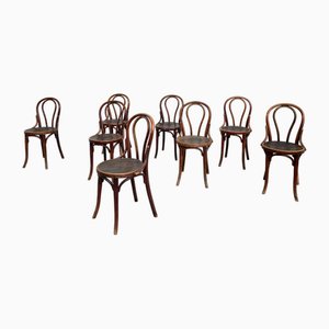 Dining Chairs in Bent Wood from Thonet, Set of 17-PB-2032285