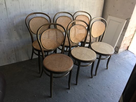 Dining Chairs in Wood Cane, Germany, 1960s, Set of 6-OXJ-995135