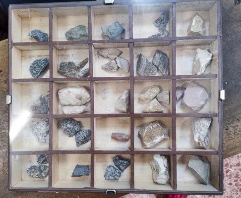 Display Cases with Various Minerals, Set of 4-RAQ-1312327