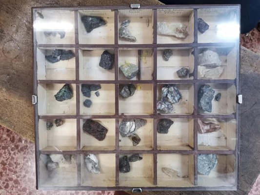 Display Cases with Various Minerals, Set of 4-RAQ-1312327