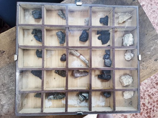 Display Cases with Various Minerals, Set of 4-RAQ-1312327