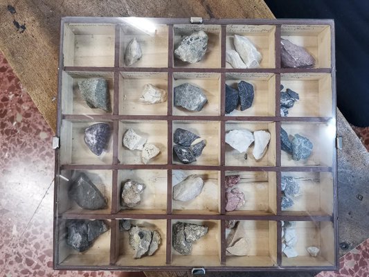 Display Cases with Various Minerals, Set of 4-RAQ-1312327