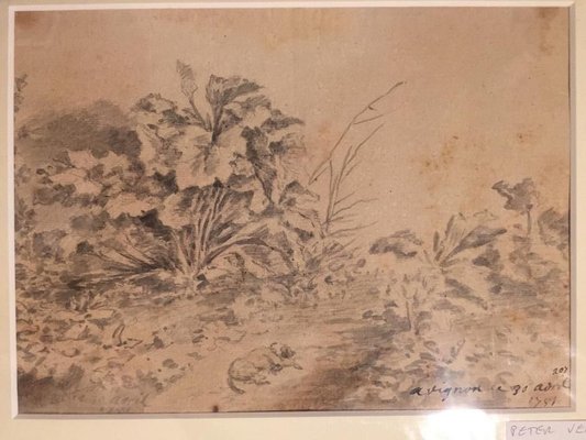 Dog with Plants - Original China Ink Drawing by Jan Pieter Verdussen - 1751 1751-ZCI-757773