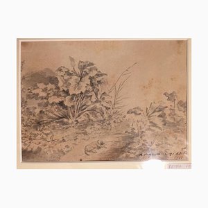 Dog with Plants - Original China Ink Drawing by Jan Pieter Verdussen - 1751 1751-ZCI-757773