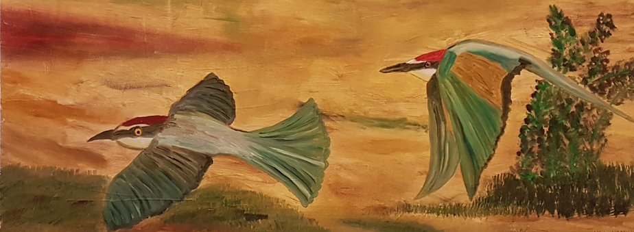 Dondi Schwartz, Two Bee Eaters, 2020, Oil on Canvas-CHG-2025906