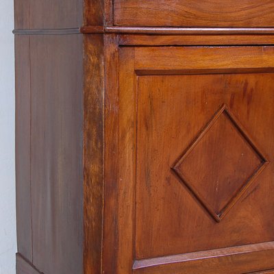 Double Body Cabinet in Walnut, Italy, 1800s-XSG-1797401