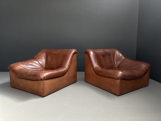 Ds-46 Lounge Chairs from de Sede, 1976, Set of 2-BHM-2035625