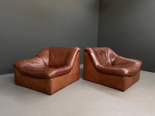 Ds-46 Lounge Chairs from de Sede, 1976, Set of 2-BHM-2035625