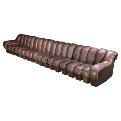 DS-600 Snake Sofa in Patinated Brown Leather attributed to Ueli Berger for de Sede, 1970s, Set of 18-TRW-1789494