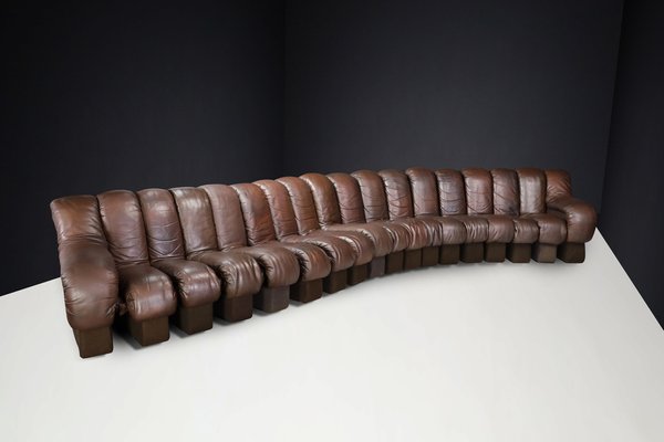 DS-600 Snake Sofa in Patinated Brown Leather attributed to Ueli Berger for de Sede, 1970s, Set of 18-TRW-1789494