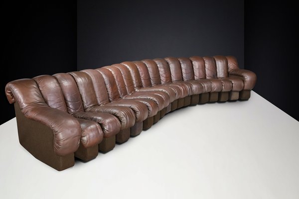 DS-600 Snake Sofa in Patinated Brown Leather attributed to Ueli Berger for de Sede, 1970s, Set of 18-TRW-1789494