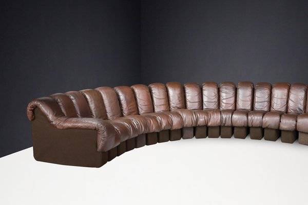 DS-600 Snake Sofa in Patinated Brown Leather attributed to Ueli Berger for de Sede, 1970s, Set of 18-TRW-1789494