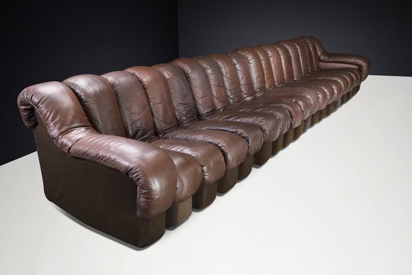 DS-600 Snake Sofa in Patinated Brown Leather attributed to Ueli Berger for de Sede, 1970s, Set of 18-TRW-1789494