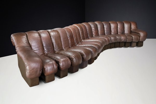 DS-600 Snake Sofa in Patinated Brown Leather attributed to Ueli Berger for de Sede, 1970s, Set of 18-TRW-1789494